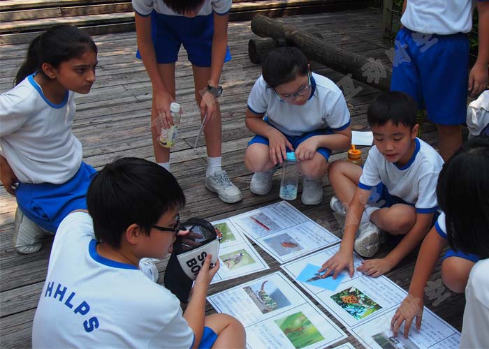 營地教育：讓孩子們在經(jīng)歷中收獲成長